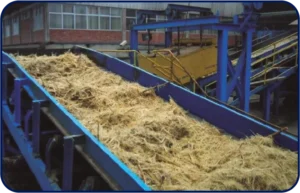 CONDUCTORES DE BAGAZO